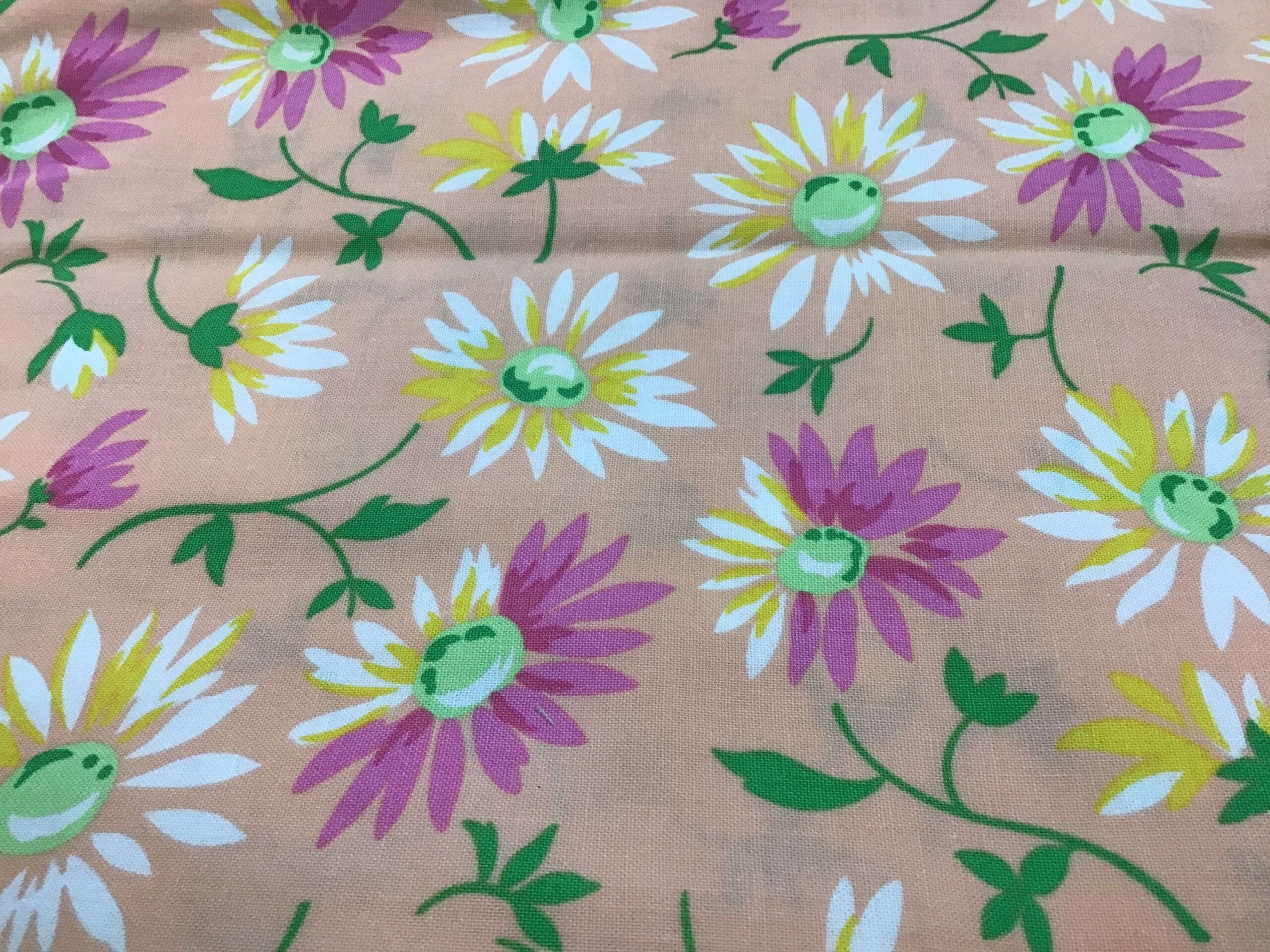 daisy daisy
