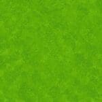 Spraytime 2800G02 Lime Green Blender fabric by Makower