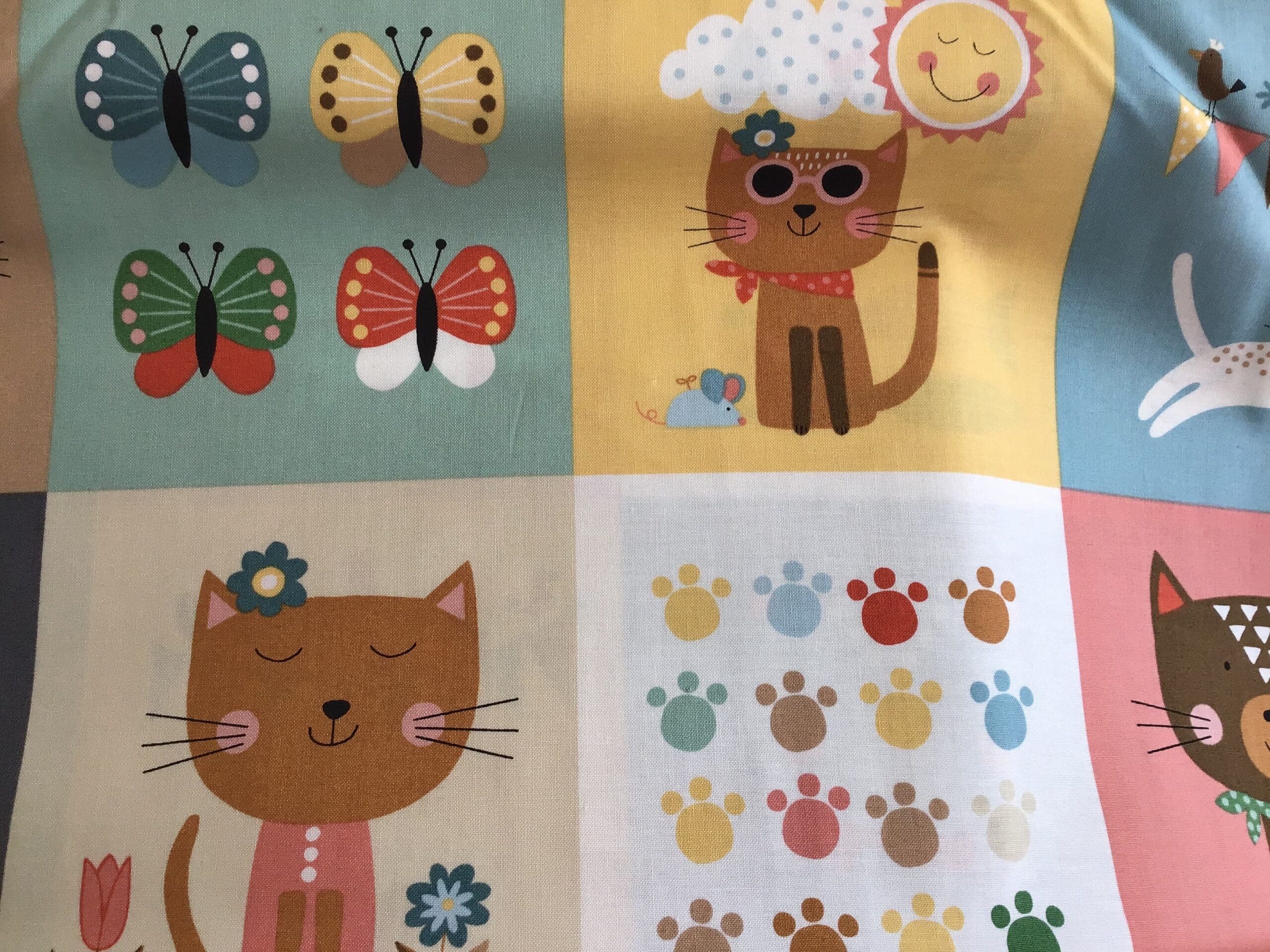 Cool cats blocks multi 21861 cool cats