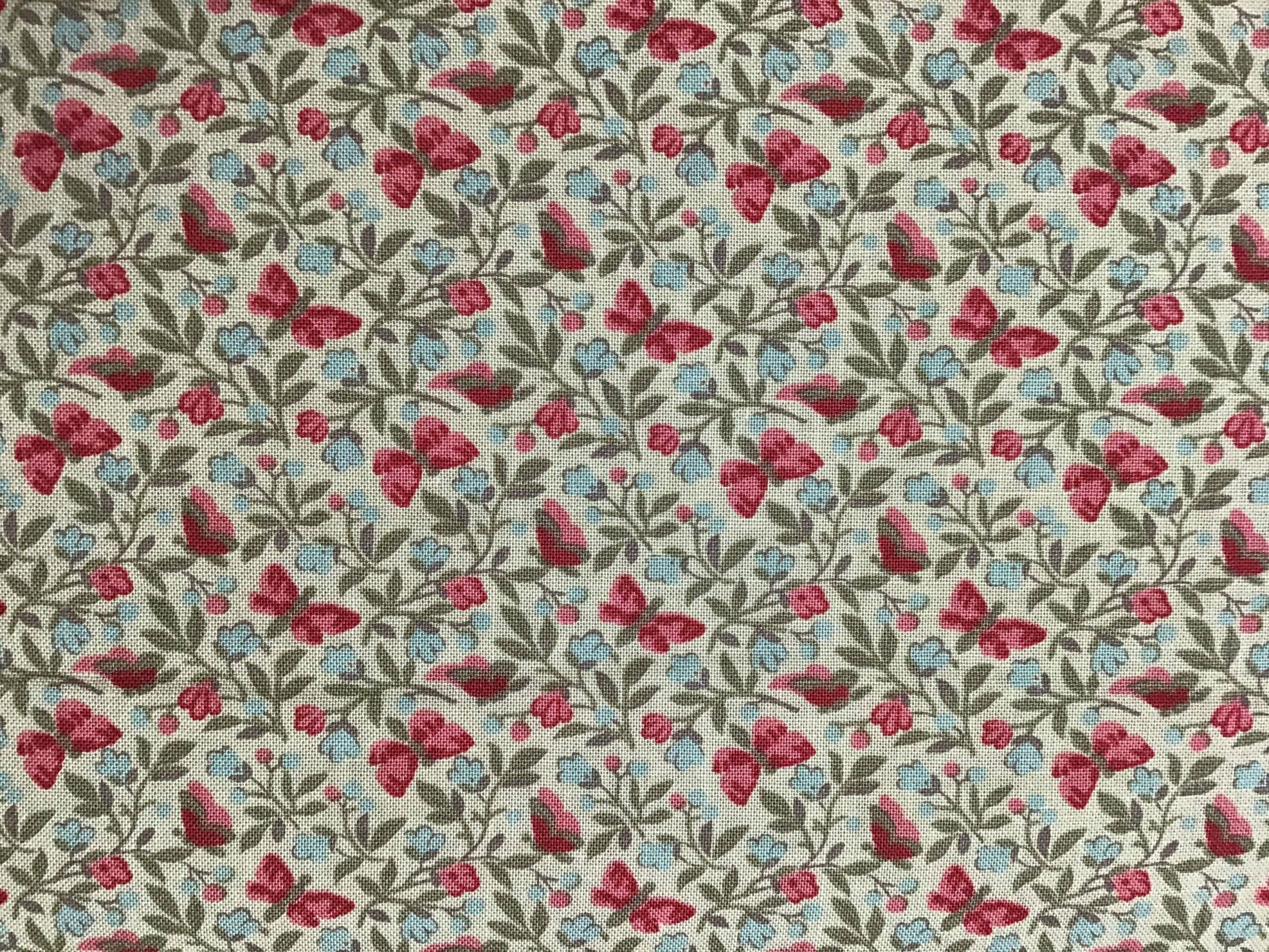 1386416 Papillon Butterfly Oyster 1386416 papillon oyster