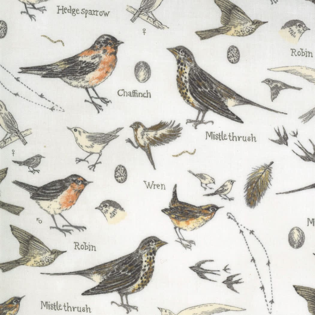 Botanicals 161011 Garden Birds on Parchment Cream by Janet Clare for Moda Fabrics Botanicals 161011 Garden Birds on Parchment Cream by Janet Clare for Moda Fabrics