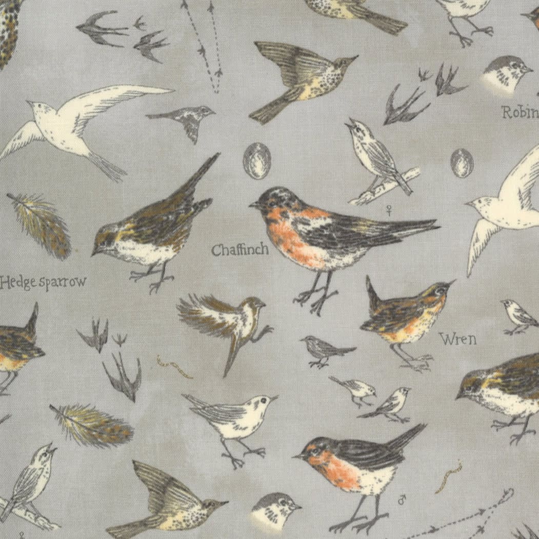 Botanicals 1691012 Garden Birds Vintage Grey by Janet Clare for Moda Fabrics Botanicals 1691012 Garden Birds Vintage Grey by Janet Clare for Moda Fabrics