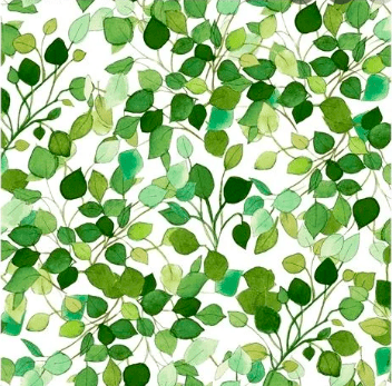 Radiance Y29361 green leaves on white by Clothworks fabric Radiance Y29361 green leaves on white by Clothworks fabric