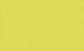 2000G60 Sherbet Lime Green Solid Plain fabric by Spectrum for Makower 2000G60 Sherbet Lime Green Solid Plain fabric by Spectrum for Makower