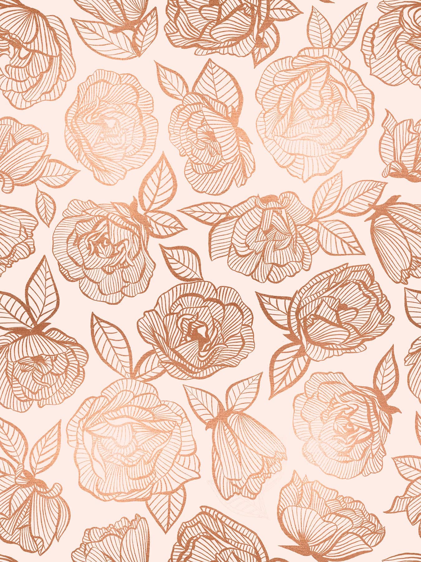 First Light RS504914M Copper Lace Roses by Ruby Star Society for Moda Fabrics Floral Flowers Peach first light