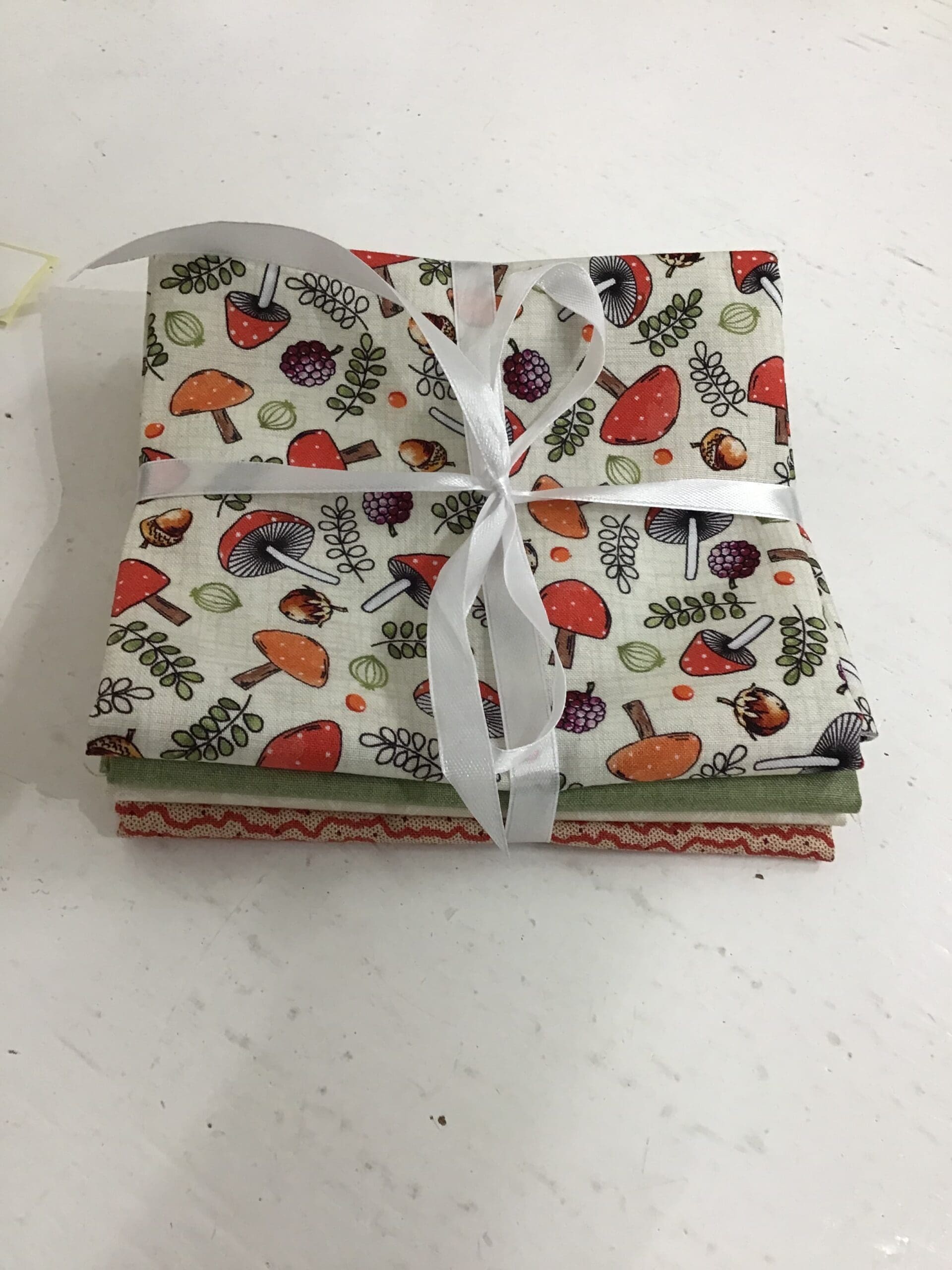 Nature trail mushrooms bundle 4 x FQ Fabrics Nature trail mushrooms bundle 4 x FQ Fabrics