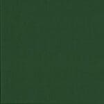 2000J08 Plain Dark Green solid fabric by Makower Spectrum