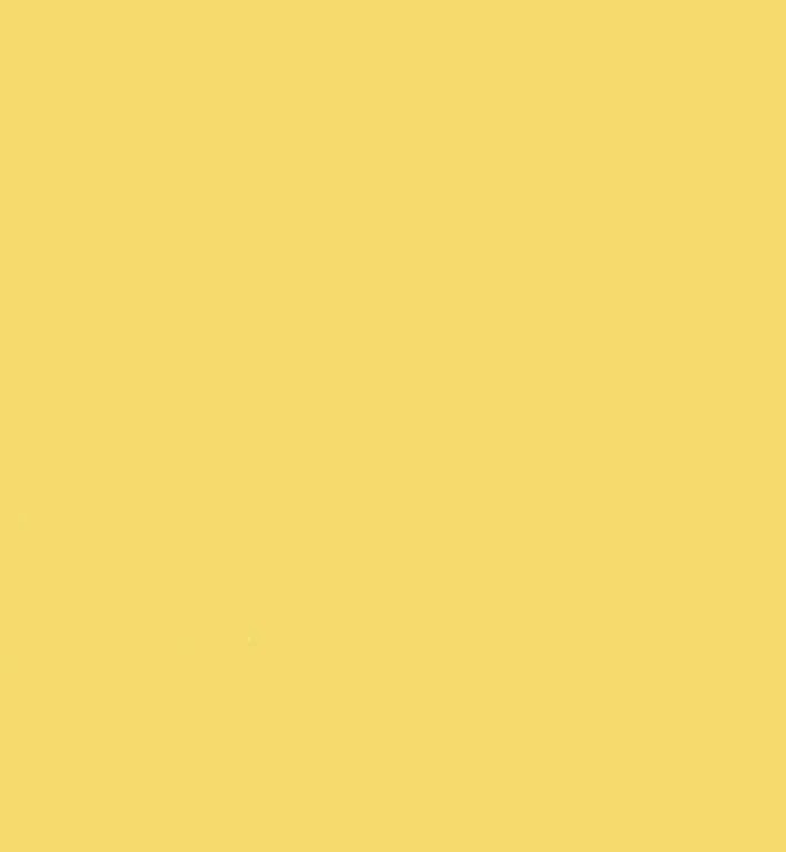 2000Y02 Makower Solid bright yellow maize Spectrum 2000Y02 Makower Solid bright yellow maize Spectrum