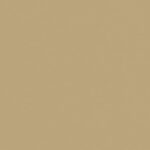 2000Q03 Beige plain Solid Spectrum by Makower fabric