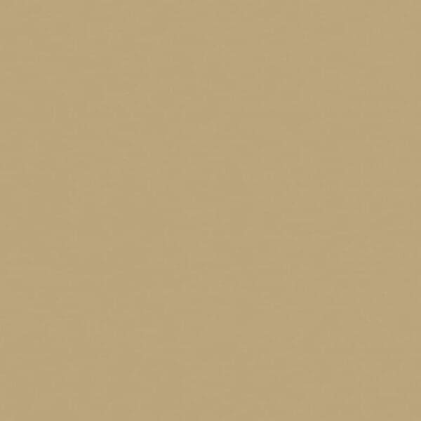 2000Q03 Beige plain Solid Spectrum by Makower fabric 2000Q03 Beige plain Solid Spectrum by Makower fabric