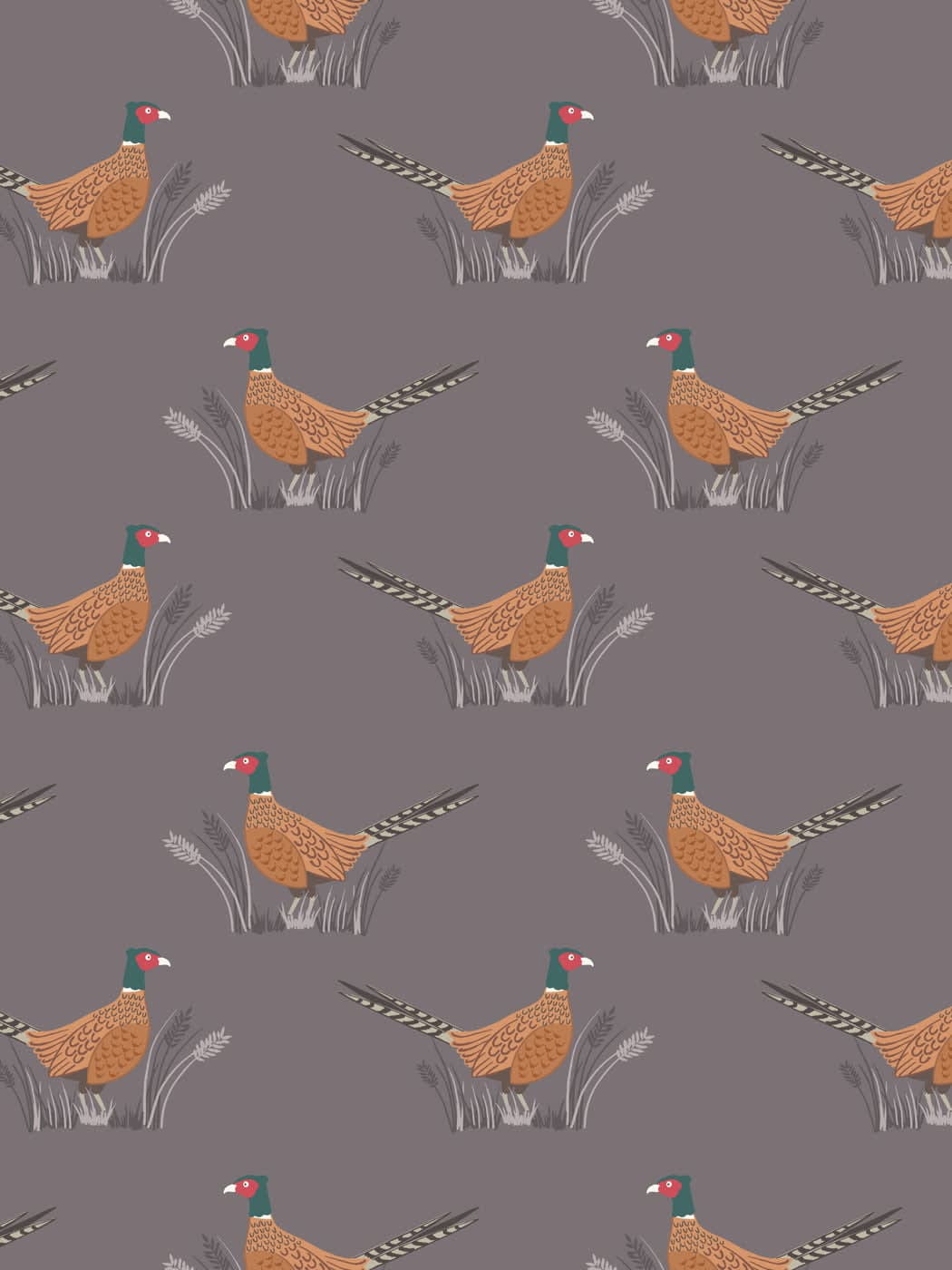Country Life Reloved A91.C3 Pheasants on earth by Lewis and Irene Country Life Reloved A91.C3 Pheasants on earth by Lewis and Irene