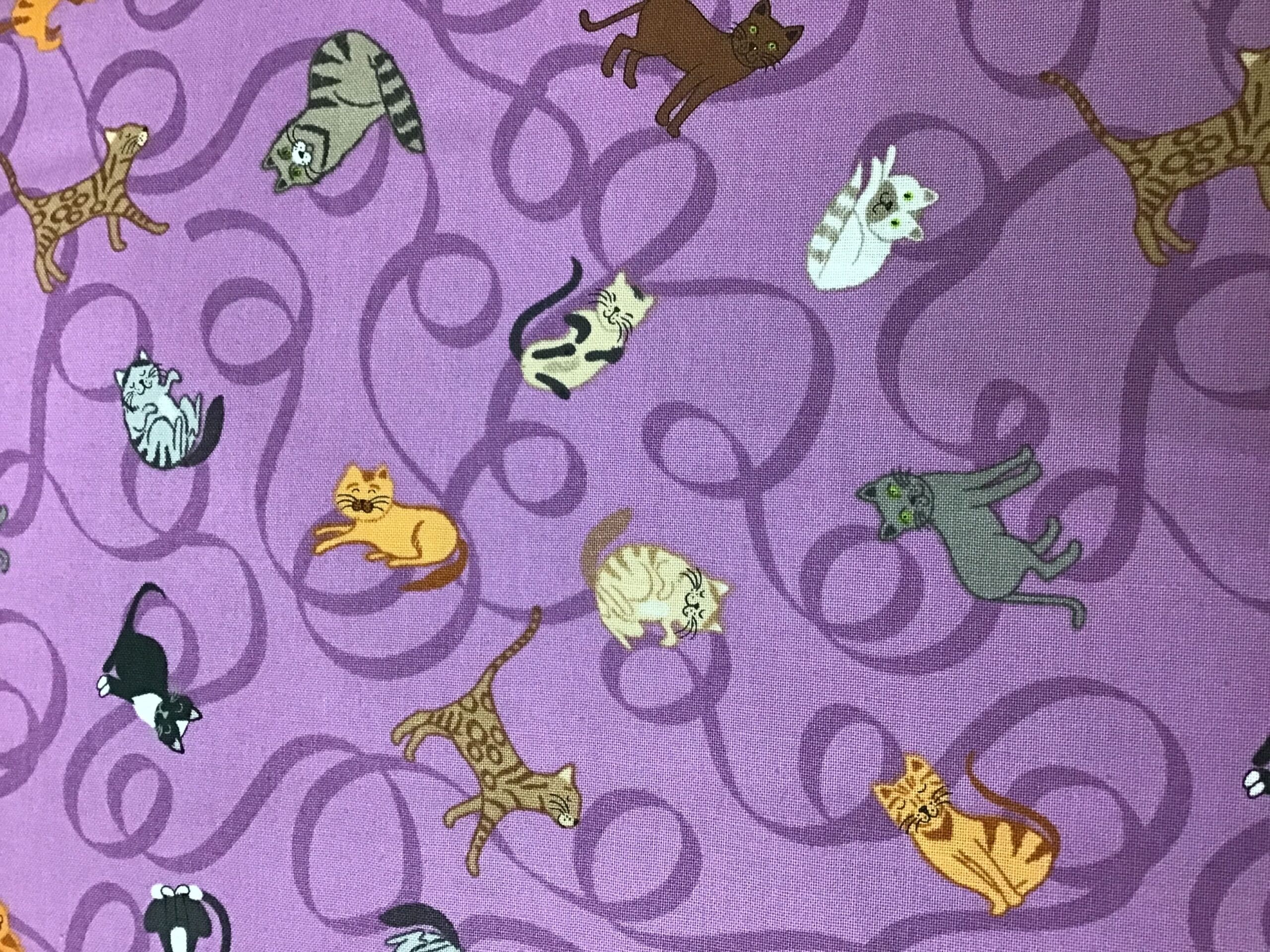 Paws and Claws, Cats on Purple, A711.3 by Lewis and Irene Paws and Claws, Cats on Purple, A711.3 by Lewis and Irene