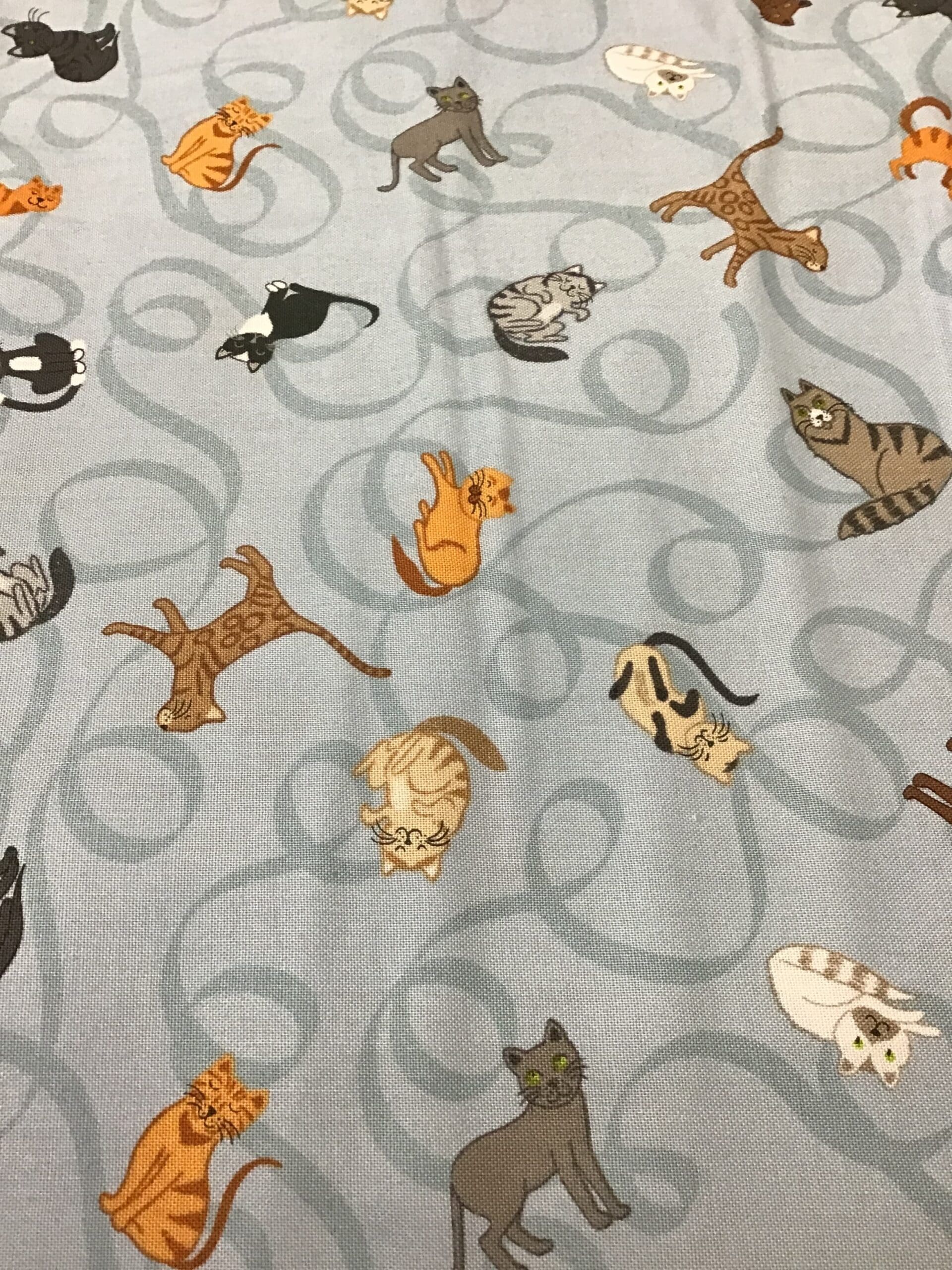 Paws and Claws, Cats on Light Blue, A711.1 by Lewis and Irene Paws and Claws, Cats on Light Blue, A711.1 by Lewis and Irene