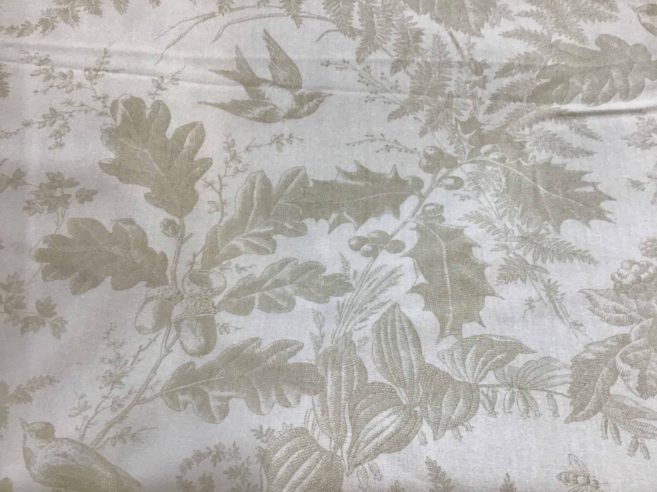 Vermont 10285L1 Sand fabric by Andover cream on cream birds, leaves, acorns Vermont 10285L1 Sand fabric by Andover cream on cream birds, leaves, acorns